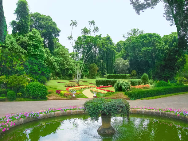 Кралската Ботаническа Градина в Перадения