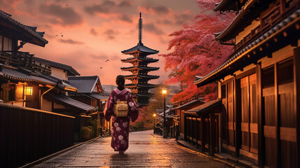 Екскурзии и почивки до Кварталът на гейшите в Киото