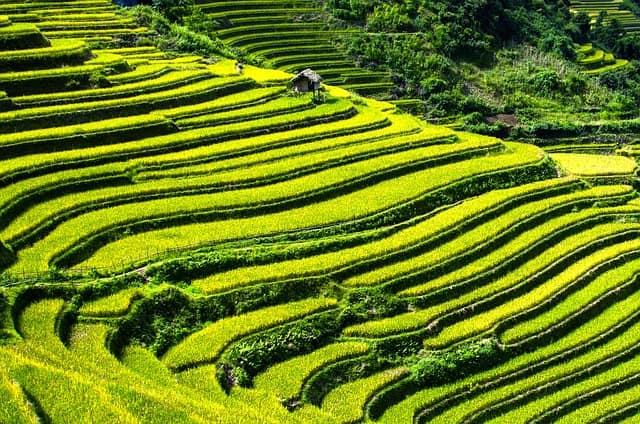 Долината Mai Chau, Hoa Binh