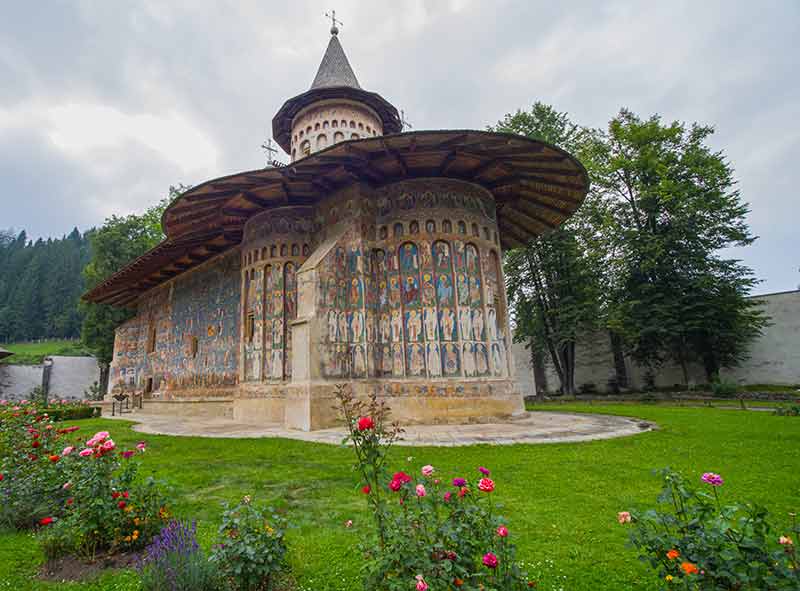 Воронет