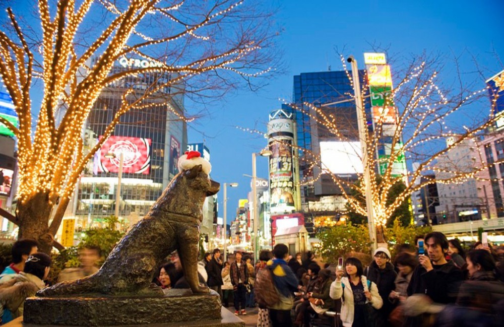 Екскурзия до Япония и Южна Корея с 13 нощувки - снимка 6